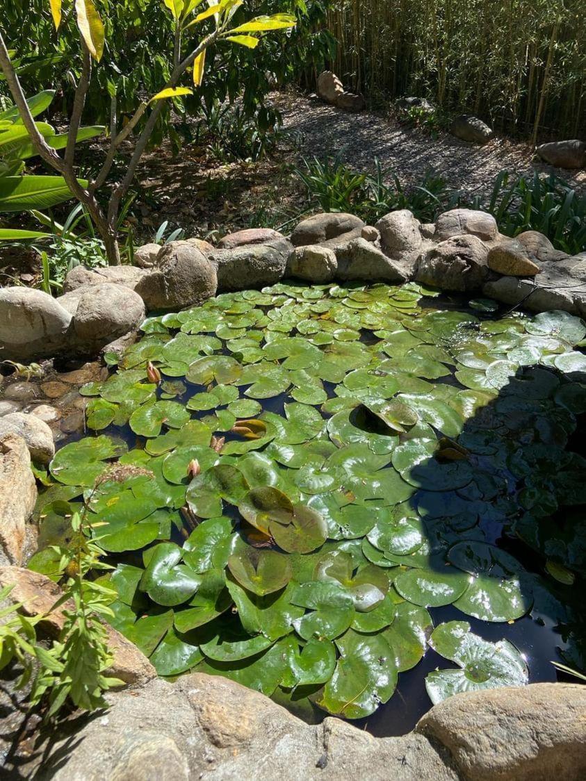 Huayapam Yu'U Lodge San Andrés Huayapan Buitenkant foto